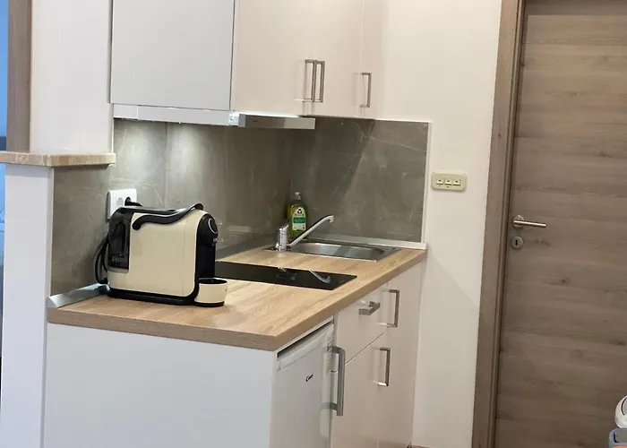 Komljenovic Appartamento Pola