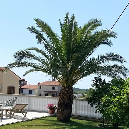 Komljenovic Apartamento
